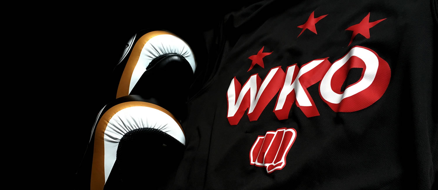 WKO Kickboxing in Llanelli.